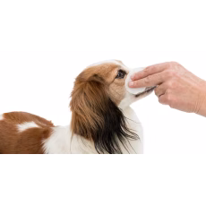 Care Pads Øye 100stk Øyerens