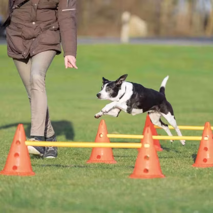 Agility Hinder