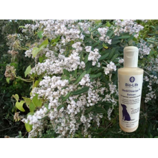 MediCleanse Balsam Hund (Allergi Hemmende) 250ml
